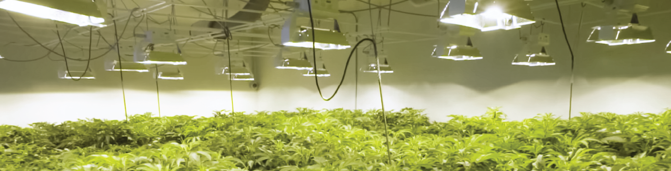 Grow Facilities